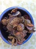 渔家美食