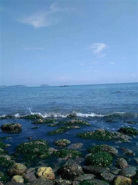 渔家风景